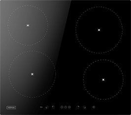 Induktionsfeld Reparatur Merseburg